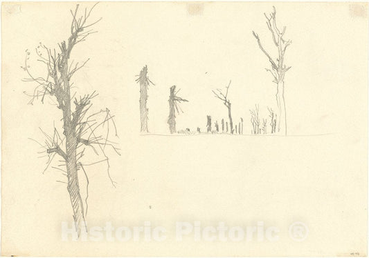 Art Print : John Singer Sargent, Devastated Trees [Verso], 1918 - Vintage Wall Art