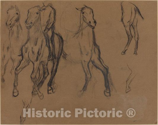 Art Print : Edgar Degas, Study of Horses, c. 1886 - Vintage Wall Art