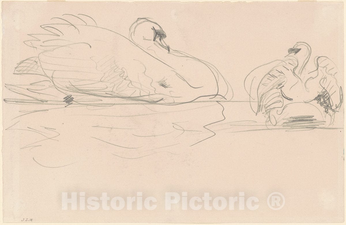 Art Print : John Singer Sargent, Swans in The Water, 1880-1900 - Vintage Wall Art