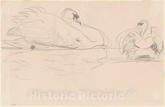 Art Print : John Singer Sargent, Swans in The Water, 1880-1900 - Vintage Wall Art