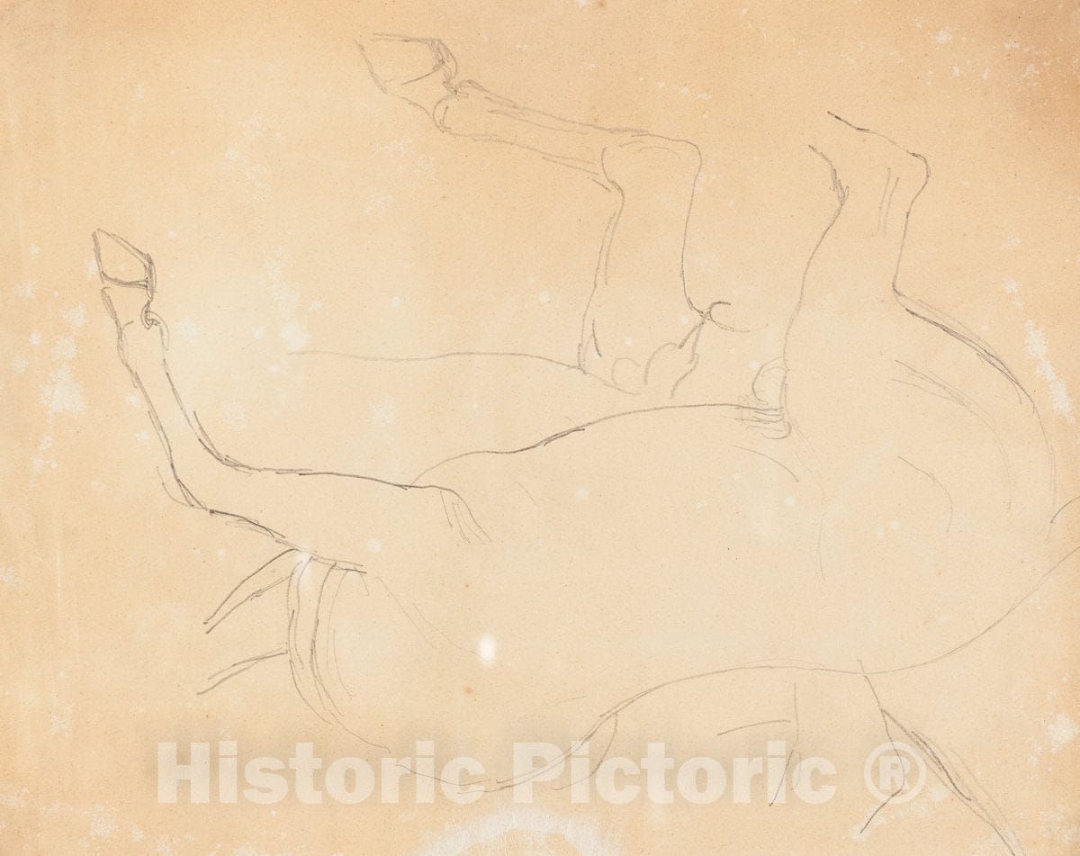 Art Print : William Etty, Study of a Horse [Verso], After 1807 - Vintage Wall Art