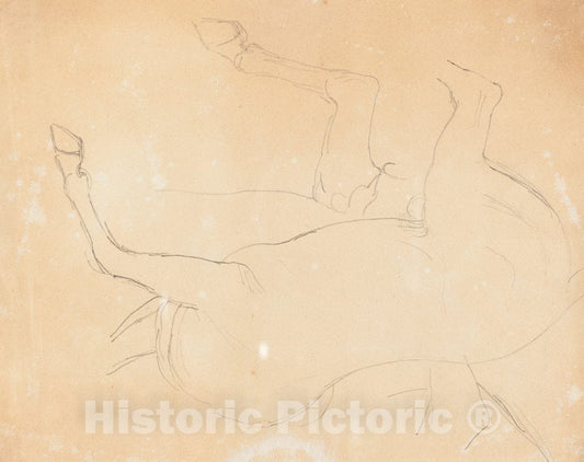 Art Print : William Etty, Study of a Horse [Verso], After 1807 - Vintage Wall Art