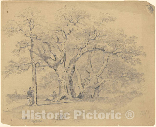 Art Print : Clonney, by The Old Oak Trees, 1839 - Vintage Wall Art