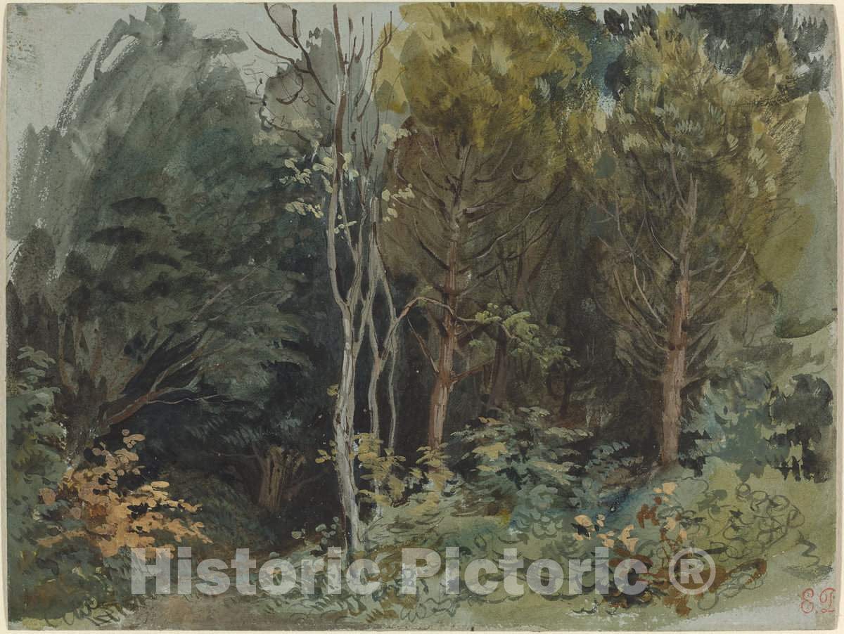 Art Print : EugÃ¨ne Delacroix, The Edge of a Wood at Nohant, c.1843 - Vintage Wall Art