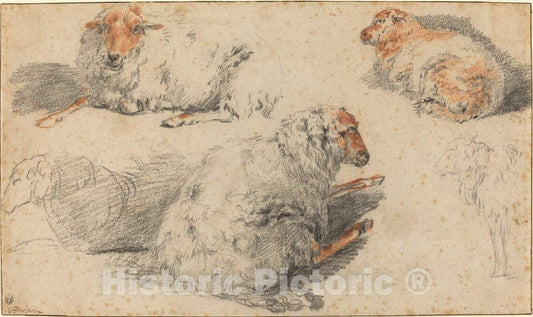 Art Print : Nicolaes Pietersz Berchem, Sheep - Vintage Wall Art