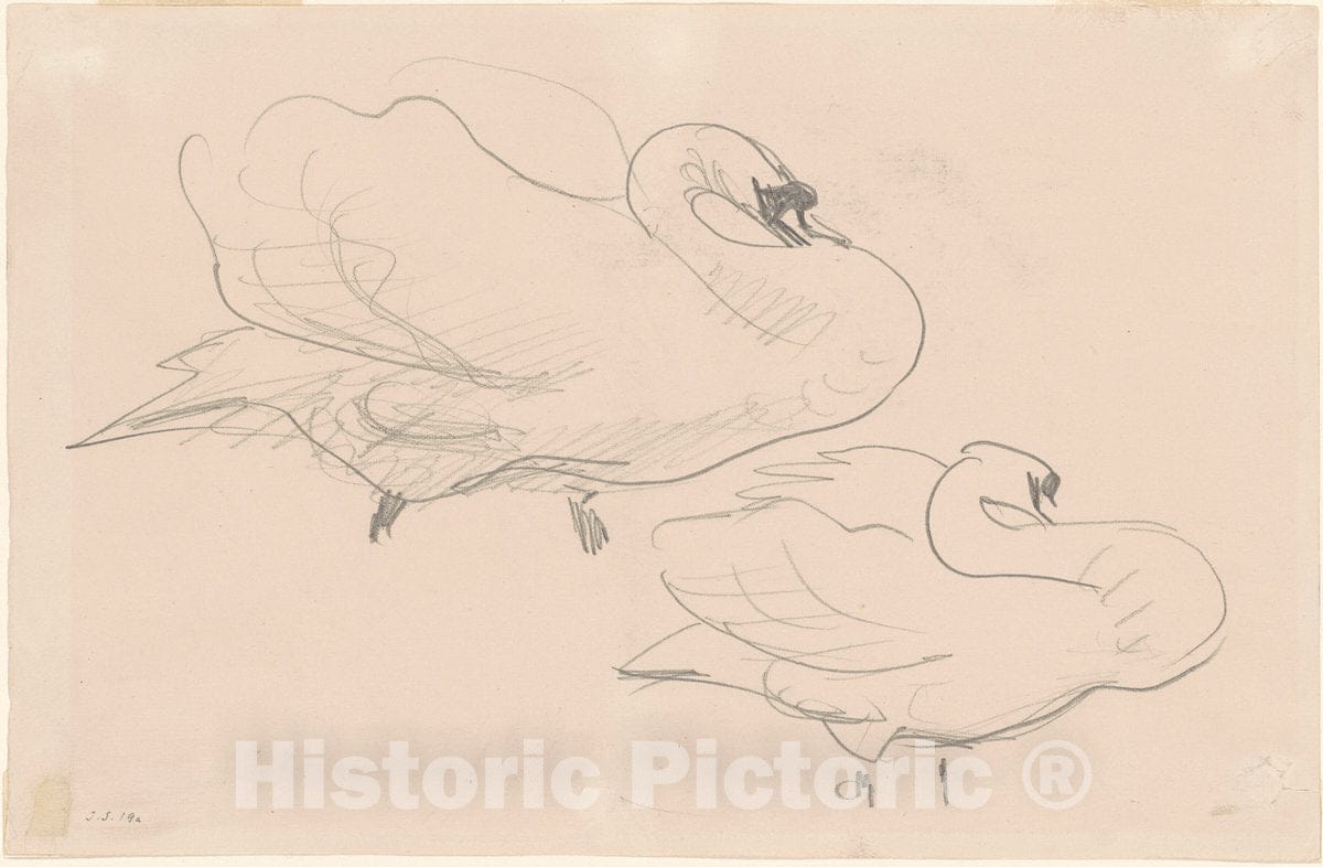 Art Print : John Singer Sargent, Studies of a Swan, 1880-1900 - Vintage Wall Art