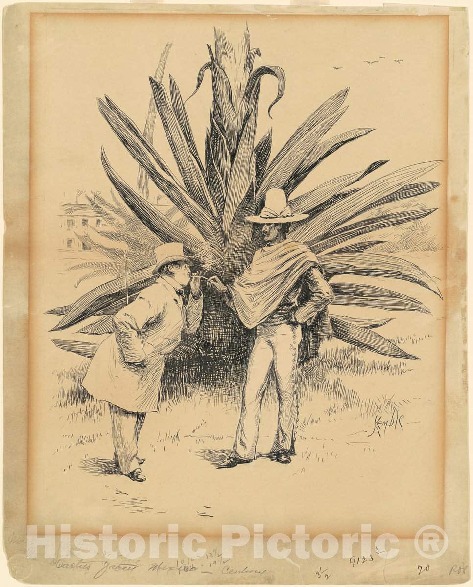 Art Print : Edward Kemble, Cactus from Mexico, 1885 - Vintage Wall Art