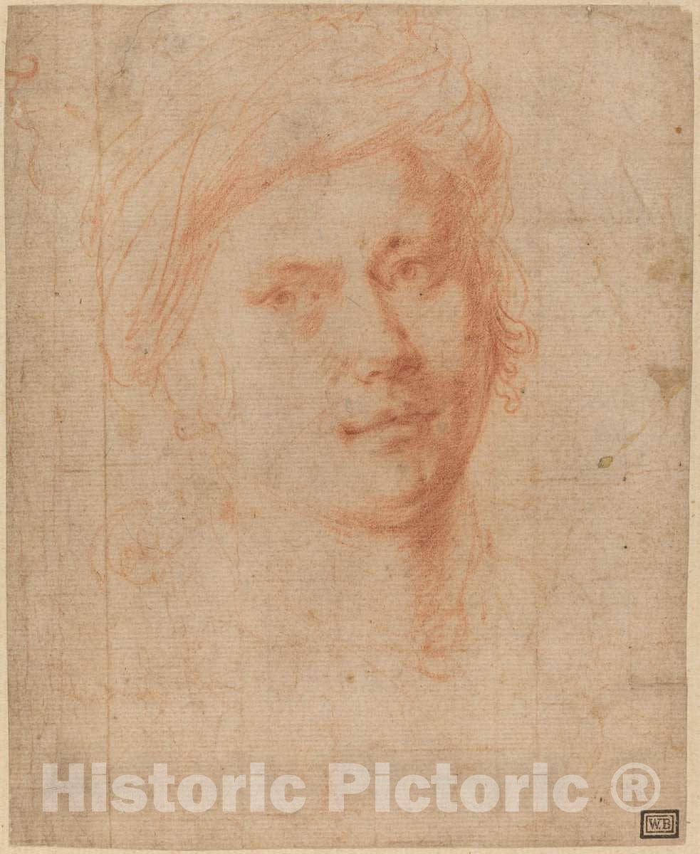 Art Print : Alessandro Allori, Head of a Youth - Vintage Wall Art