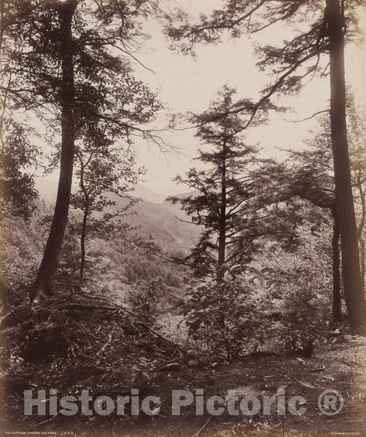 Art Print : William H. Rau, Cliff View, Through The Trees, c. 1895 - Vintage Wall Art