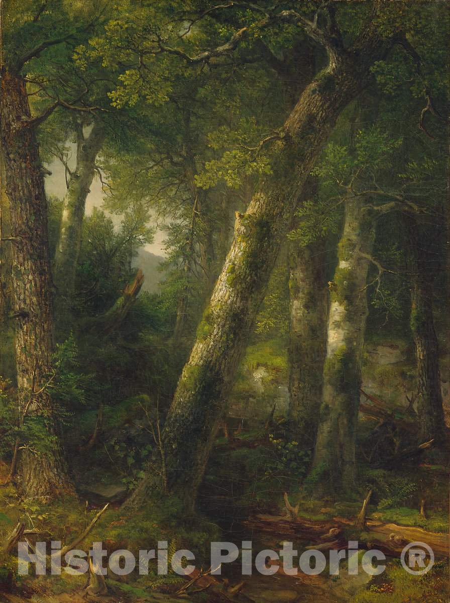 Art Print : Asher Brown Durand, Forest in The Morning Light, c. 1855 - Vintage Wall Art