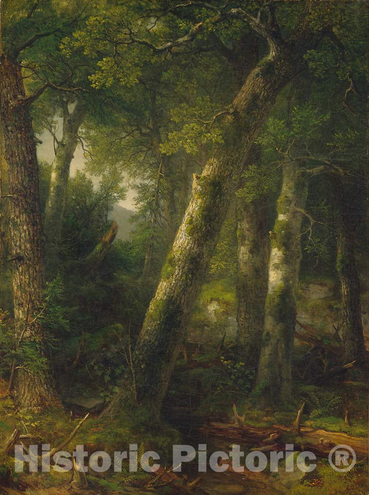 Art Print : Asher Brown Durand, Forest in The Morning Light, c. 1855 - Vintage Wall Art