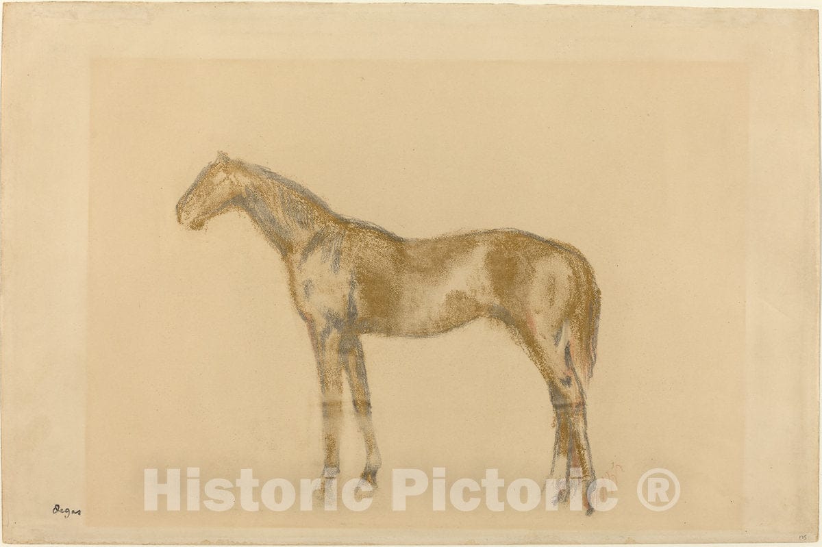 Art Print : Edgar Degas, Horse, c. 1890 - Vintage Wall Art