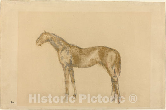 Art Print : Edgar Degas, Horse, c. 1890 - Vintage Wall Art