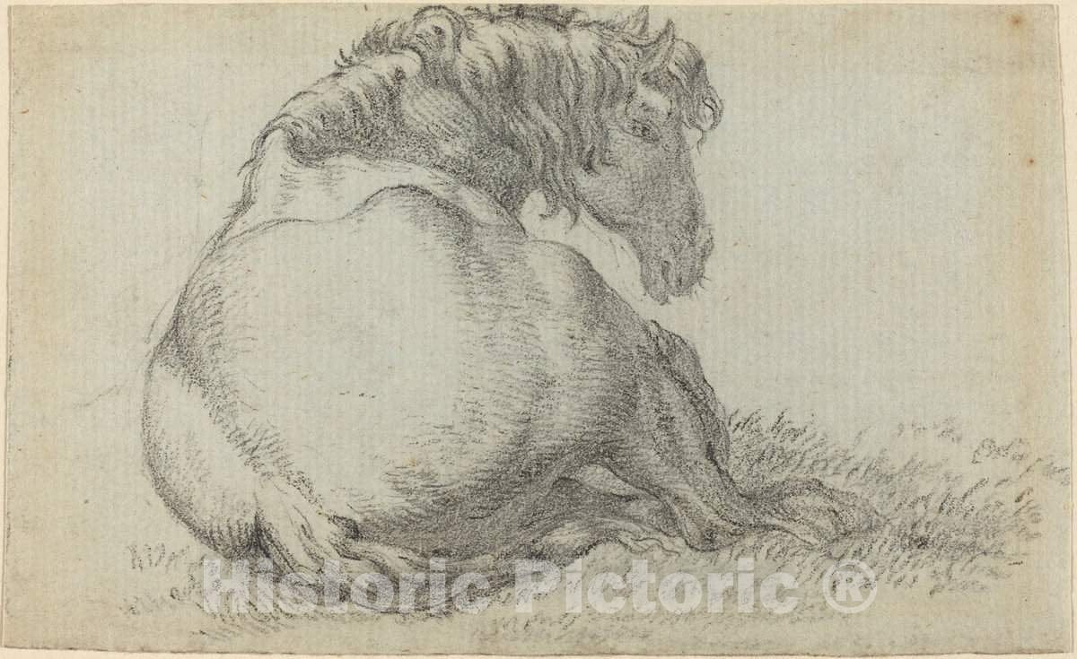 Art Print : Paulus Potter, Resting Horse - Vintage Wall Art