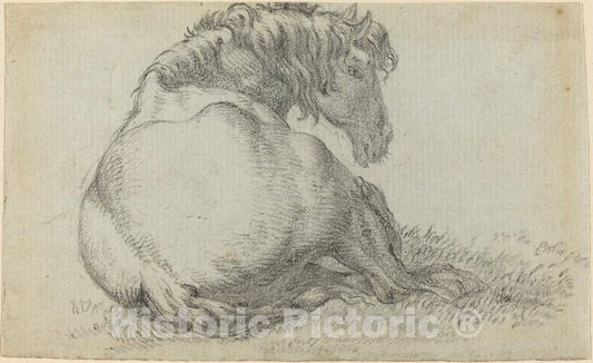 Art Print : Paulus Potter, Resting Horse - Vintage Wall Art