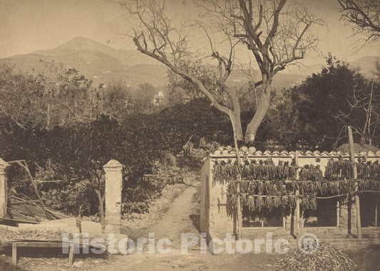 Art Print : Louis Crette, Agricultural Scene with Mountains, 1850s - Vintage Wall Art