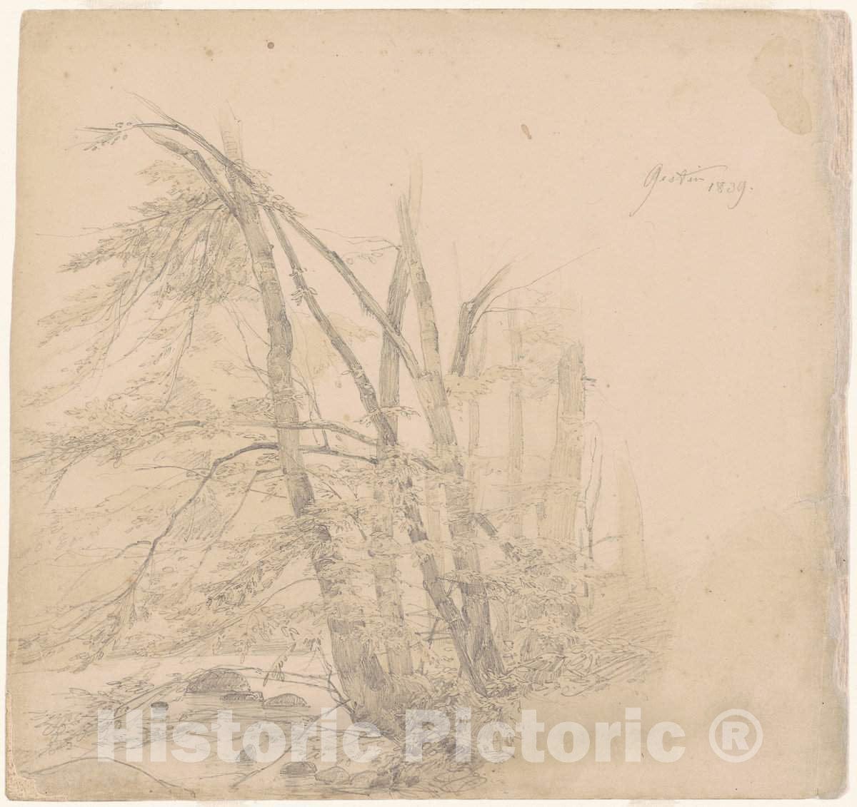 Art Print : Emanuel Gottlieb Leutze, Gestin, 1839 - Vintage Wall Art