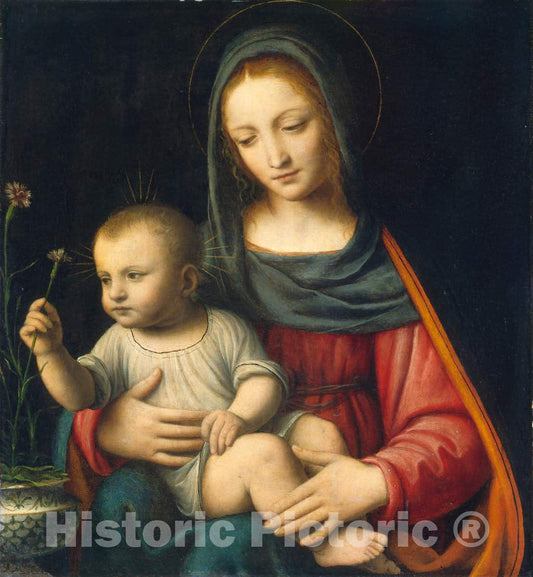 Art Print : Bernardino Luini, The Madonna of The Carnation, c. 1515 - Vintage Wall Art
