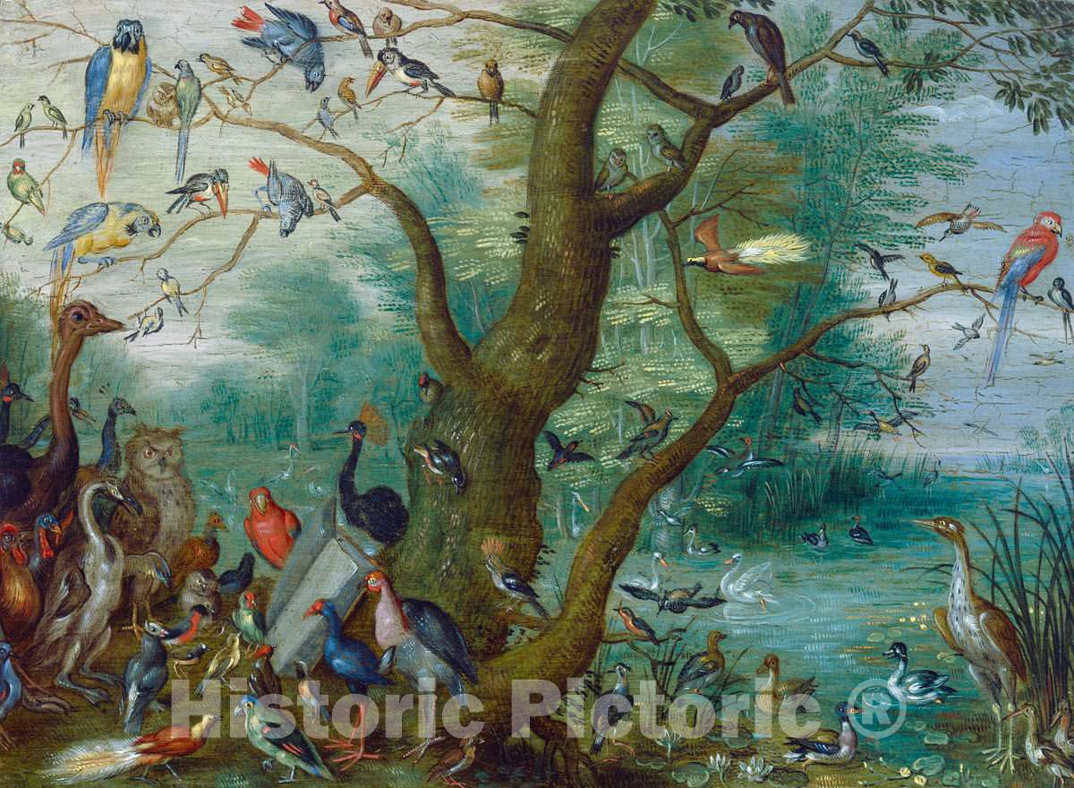 Art Print : Circle of Jan Van Kessel, Concert of Birds, c.1665 - Vintage Wall Art