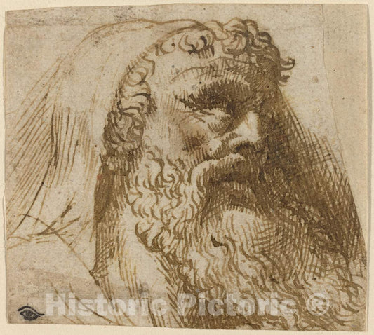 Art Print : Domenico Campagnola, Head of a Man - Vintage Wall Art