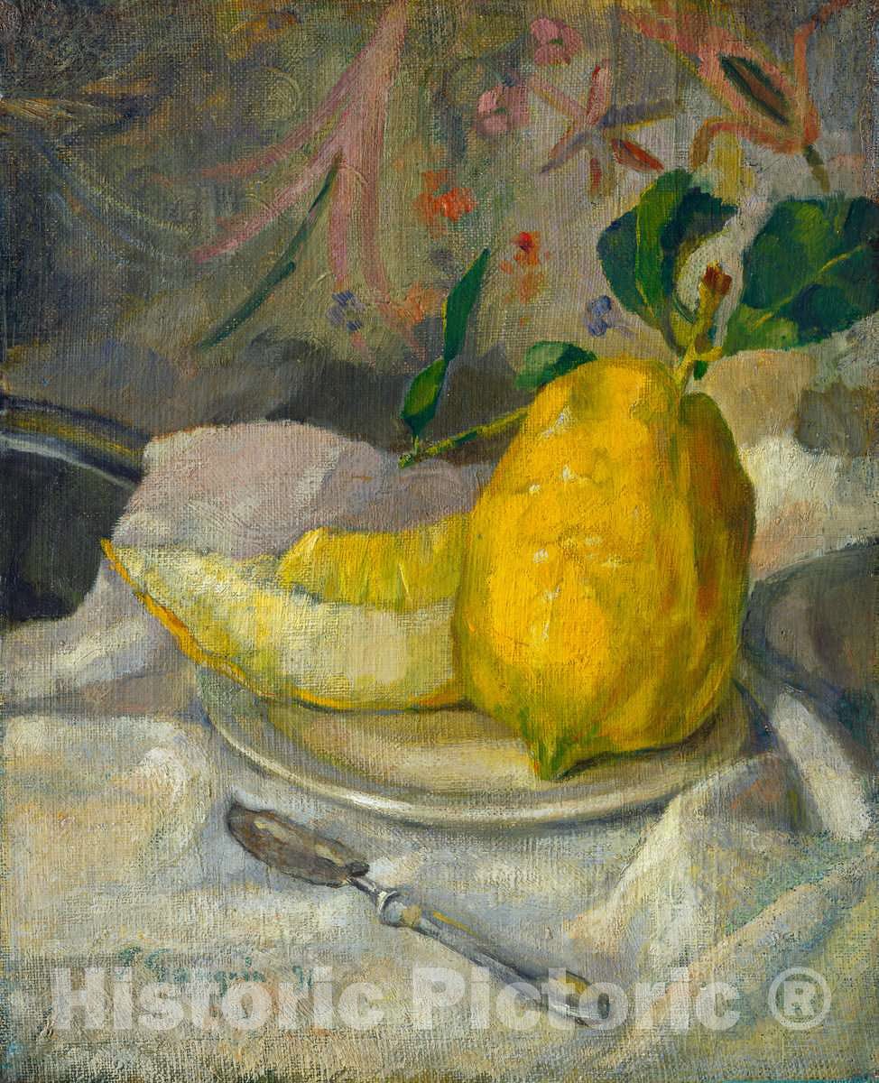 Art Print : Melon and Lemon, c. 1900 - Vintage Wall Art