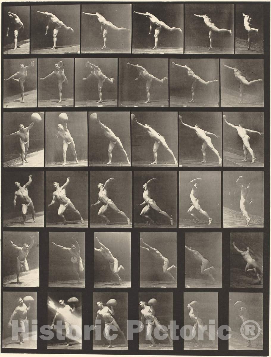 Art Print : Eadweard Muybridge, Animal Locomotion, Plate 523, 1887 - Vintage Wall Art