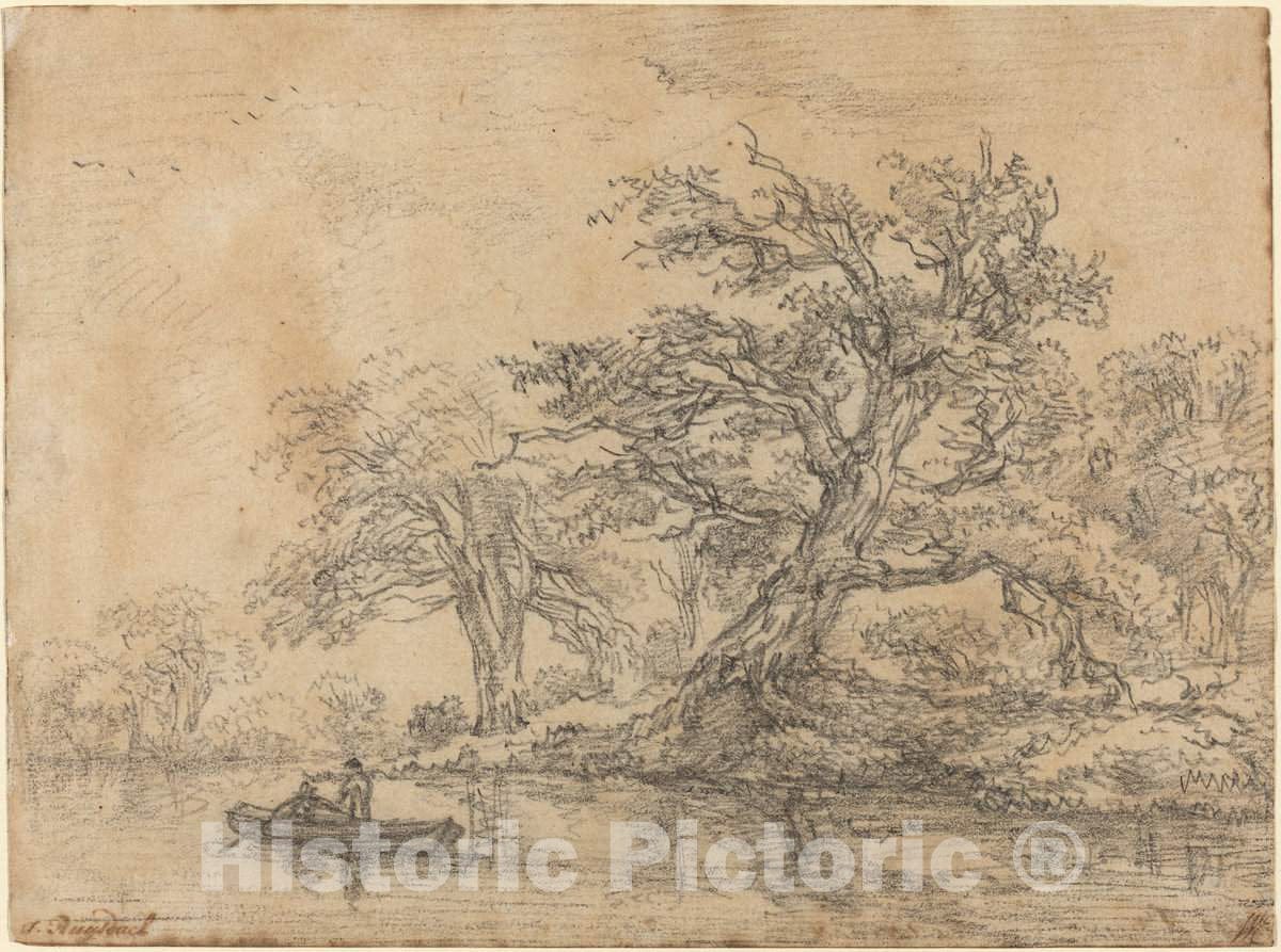 Art Print : Jacob Van Ruisdael, Old Trees Along a Bank, Late 1640s - Vintage Wall Art