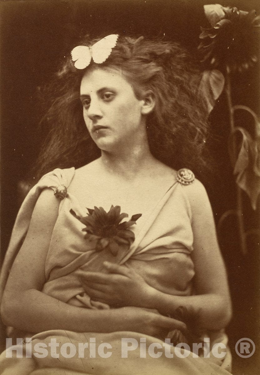 Dragable Image