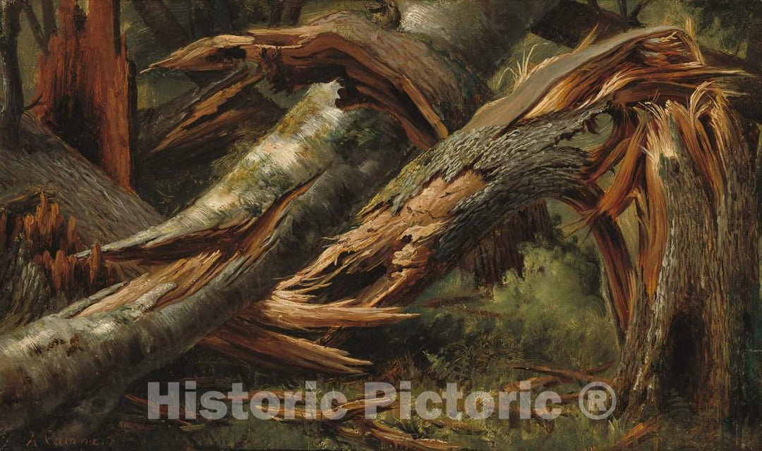 Art Print : Alexandre Calame, Fallen Tree, c.1842 - Vintage Wall Art