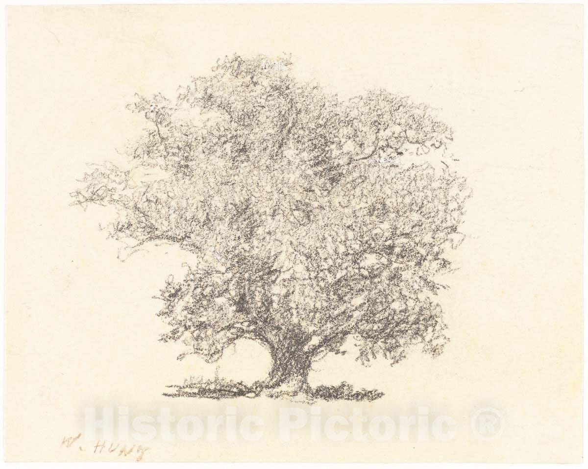 Dragable Image