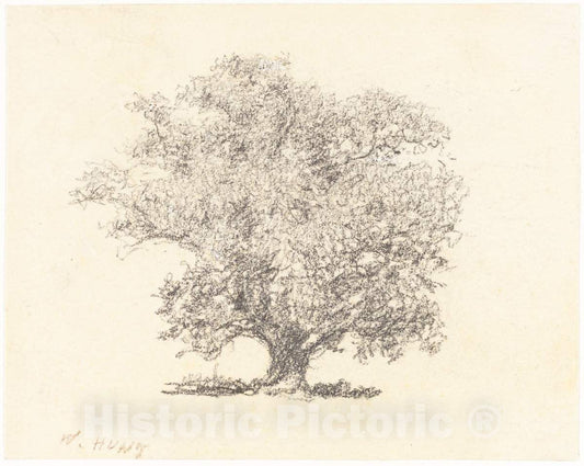 Art Print : William Henry Hunt, A Tree in Full-Leaf - Vintage Wall Art