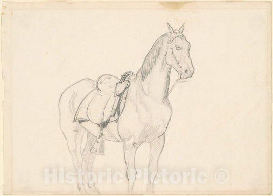 Art Print : Emanuel Gottlieb Leutze, Horse, c. 1860s - Vintage Wall Art