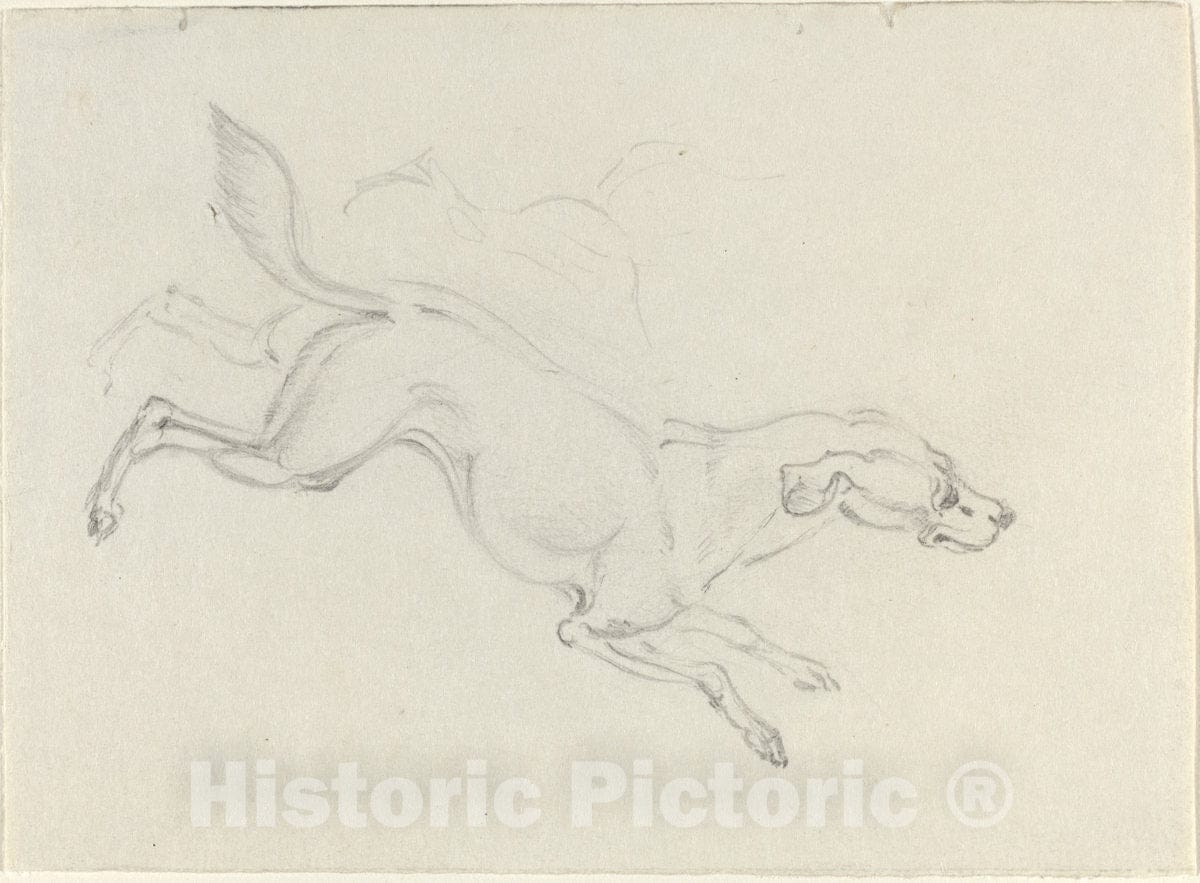Art Print : James Seymour, A Hound Jumping, c. 1743 - Vintage Wall Art