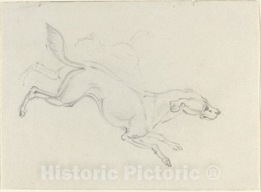 Art Print : James Seymour, A Hound Jumping, c. 1743 - Vintage Wall Art
