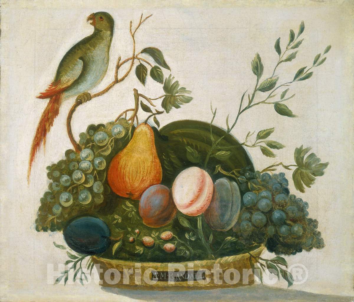 Art Print : A.M. Randall, Basket of Fruit with Parrot, 1777 - Vintage Wall Art