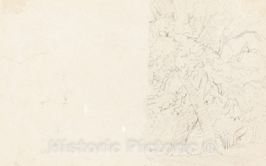 Art Print : David Cox, Trees [Verso], Possibly 1831 - Vintage Wall Art