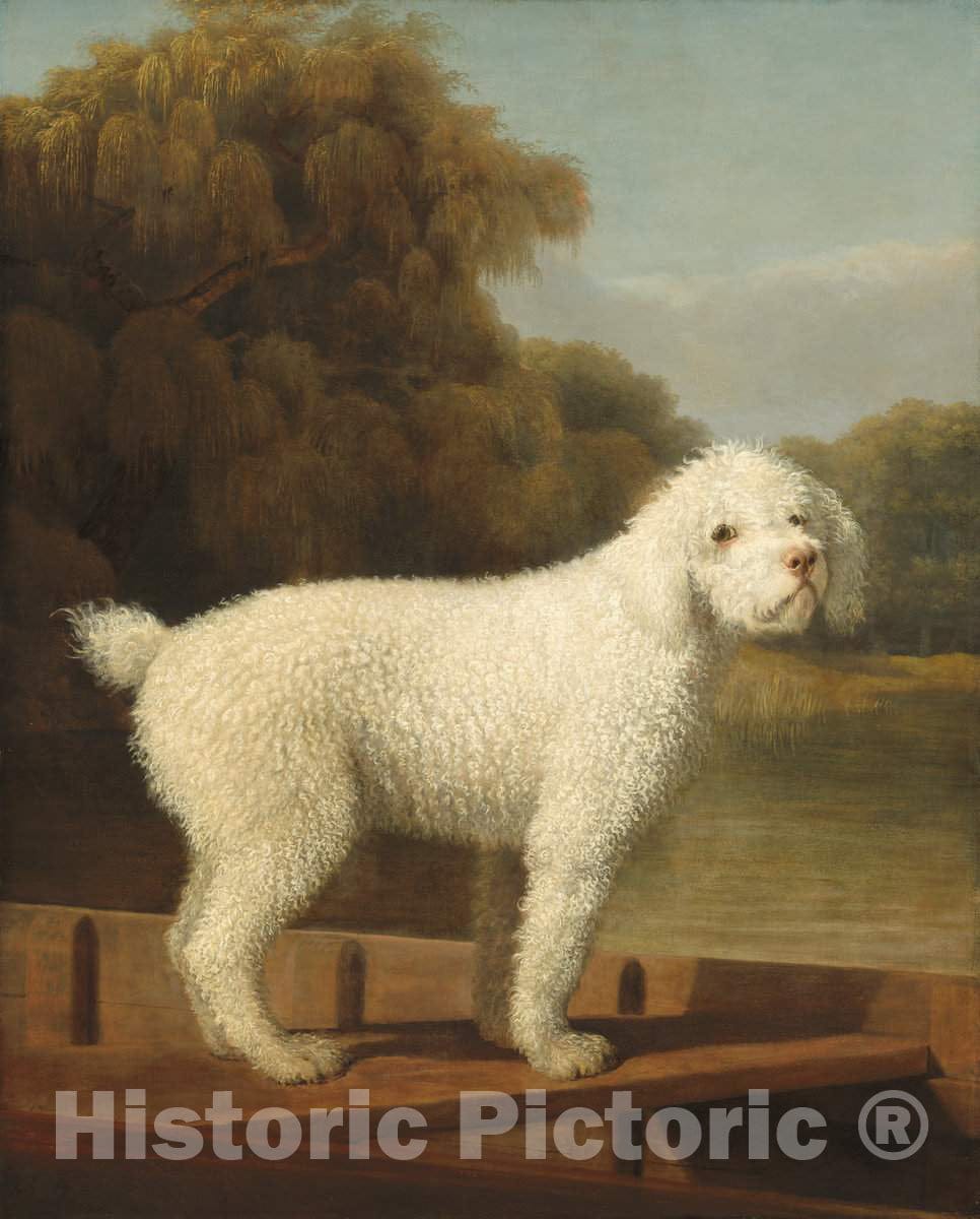 Art Print : George Stubbs, White Poodle in a Punt, c. 1780 - Vintage Wall Art