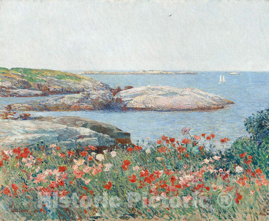 Art Print : Childe Hassam, Poppies, Isles of Shoals, 1891 - Vintage Wall Art