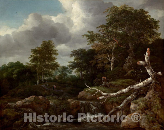 Art Print : Jacob Van Ruisdael, Forest Scene, c. 1655 - Vintage Wall Art