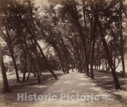 Art Print : William H. Rau, Picnic Grounds, c. 1895 - Vintage Wall Art