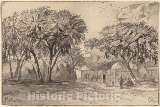 Art Print : Edward Lear, Mahatta, c.1885 - Vintage Wall Art