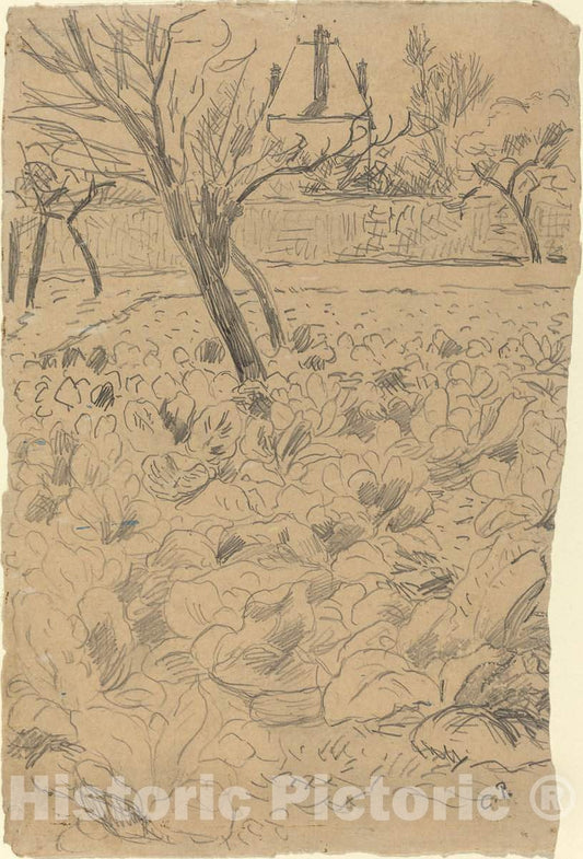 Art Print : Camille Pissarro, Le Champ de choux, c. 1880 - Vintage Wall Art