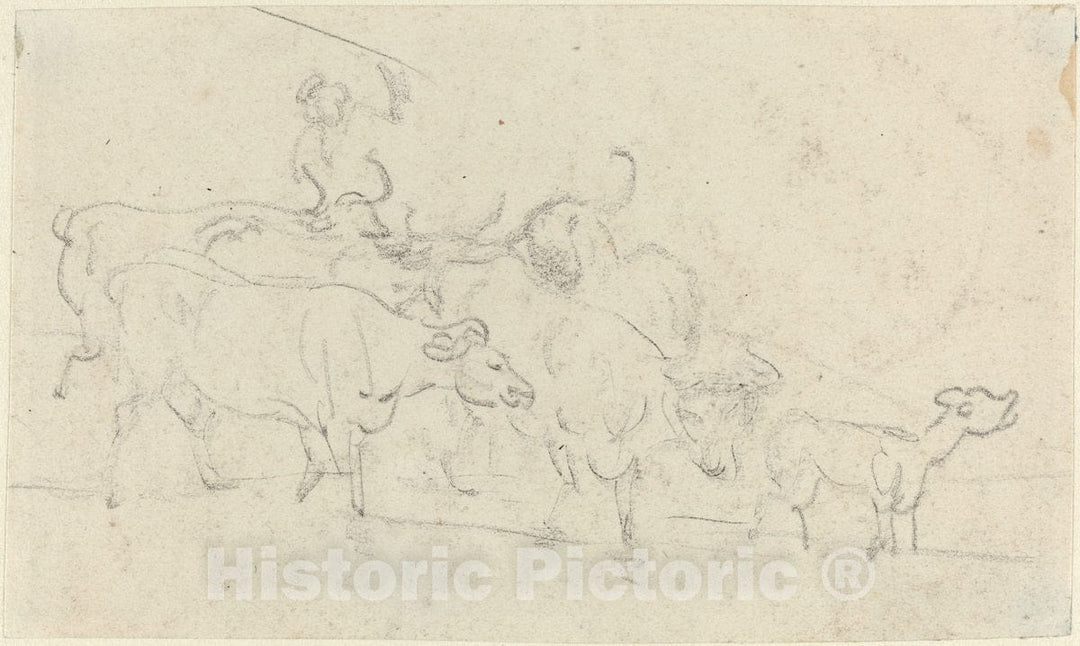 Art Print : Rowlandson, Cattle - Vintage Wall Art