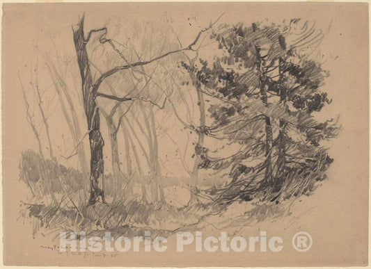 Art Print : Charles H. Woodbury, Wood Interior, 1920 - Vintage Wall Art