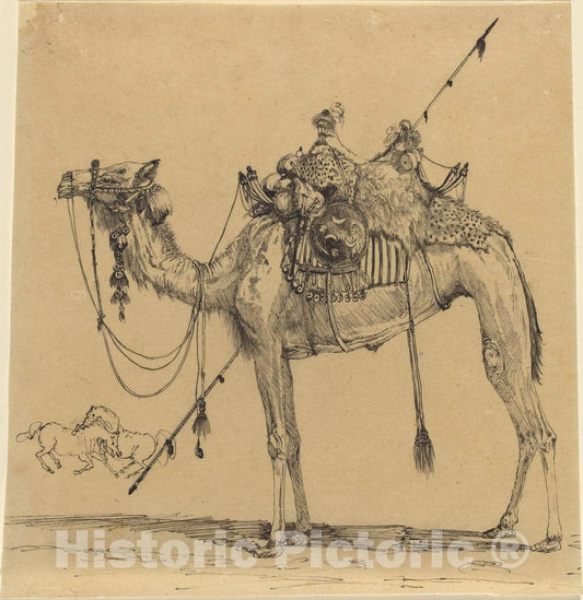 Art Print : Rodolphe Bresdin, The Camel - Vintage Wall Art