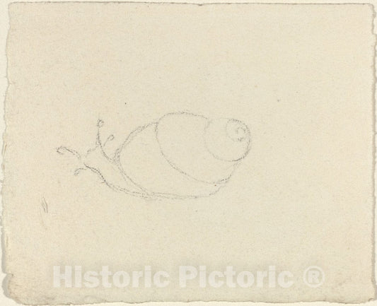 Art Print : John Flaxman, Snails [Recto and Verso] - Vintage Wall Art