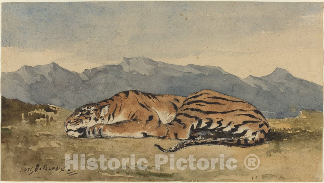 Art Print : EugÃ¨ne Delacroix, Tiger, c. 1830 - Vintage Wall Art