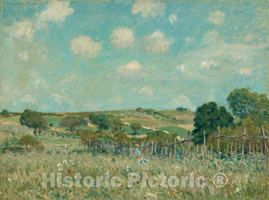 Art Print : Alfred Sisley, Meadow, 1875 - Vintage Wall Art