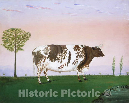 Art Print : H. Call, Prize Bull, 1876 - Vintage Wall Art
