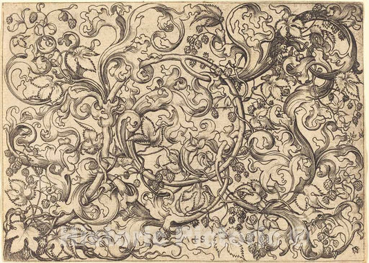 Art Print : Martin Schongauer, Ornament with Hop Vine, c.1485 - Vintage Wall Art